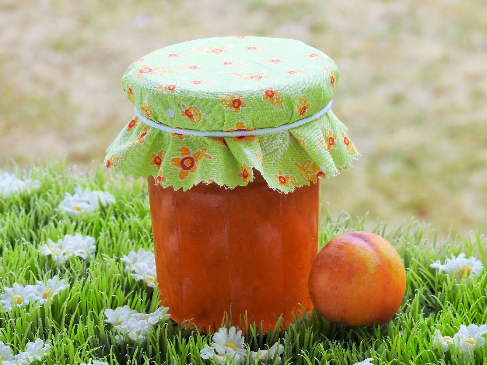 Confiture De Fleurs De Pissenlit Thermomix confitures - Blog cuisine Thermomix avec recettes pour le TM5 & TM31