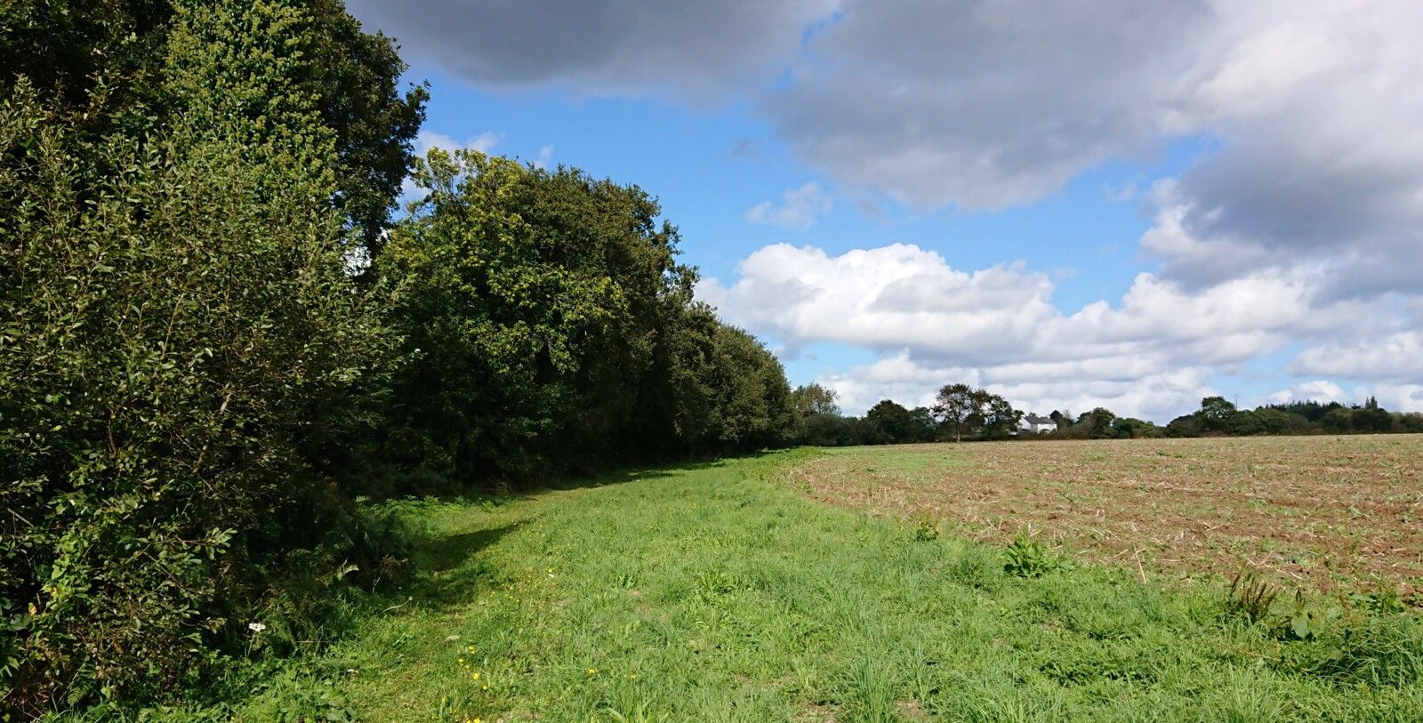 Généralisation de la gestion différenciée des bords de parcelles ?  Révolution Agro-Environnementale, partie 3 - CarnetdAgrEaunome.over-blog.com