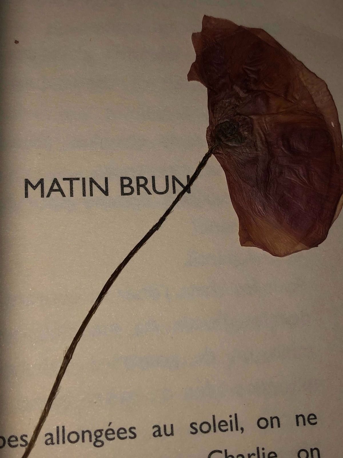Matin brun ~Franck PAVLOFF~ - Papier buvard