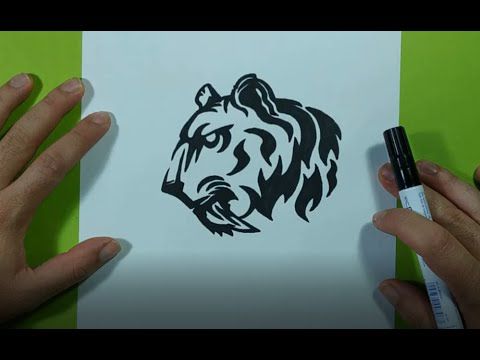 Como dibujar un tigre paso a paso 9 
