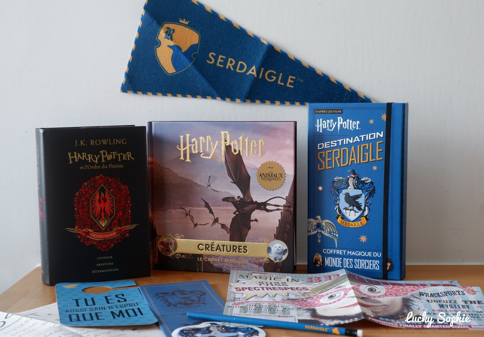 La Nuit des Livres Harry Potter 2022 - Lucky Sophie blog famille voyage