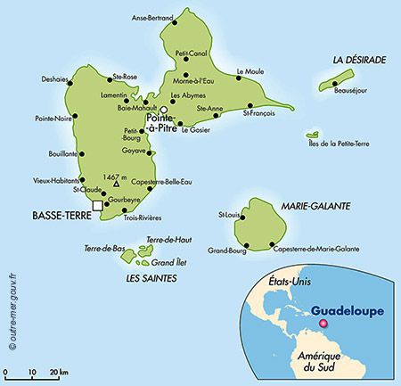 Des plantes de Guadeloupe dans la pharmacopée française - Guadeloupe la 1ère