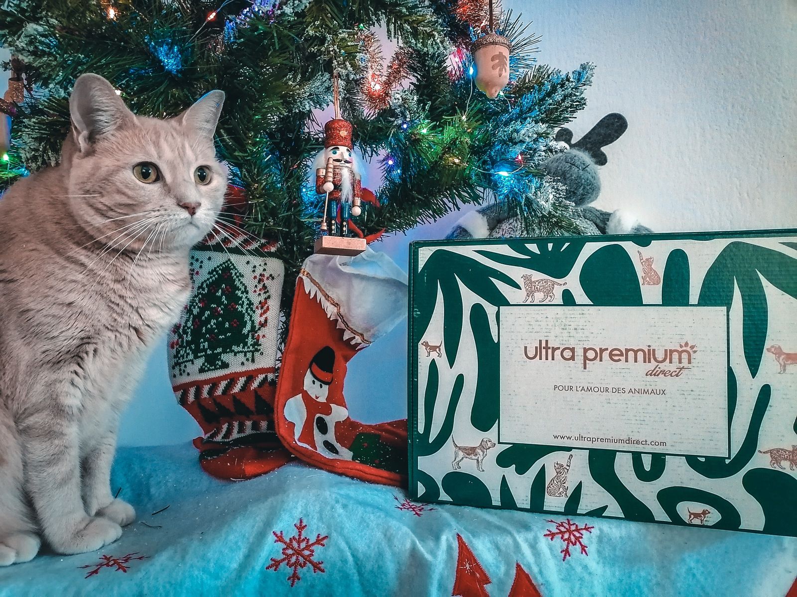 La box cadeau de Noel Ultra Premium Direct - Une Belle Vie De Chat