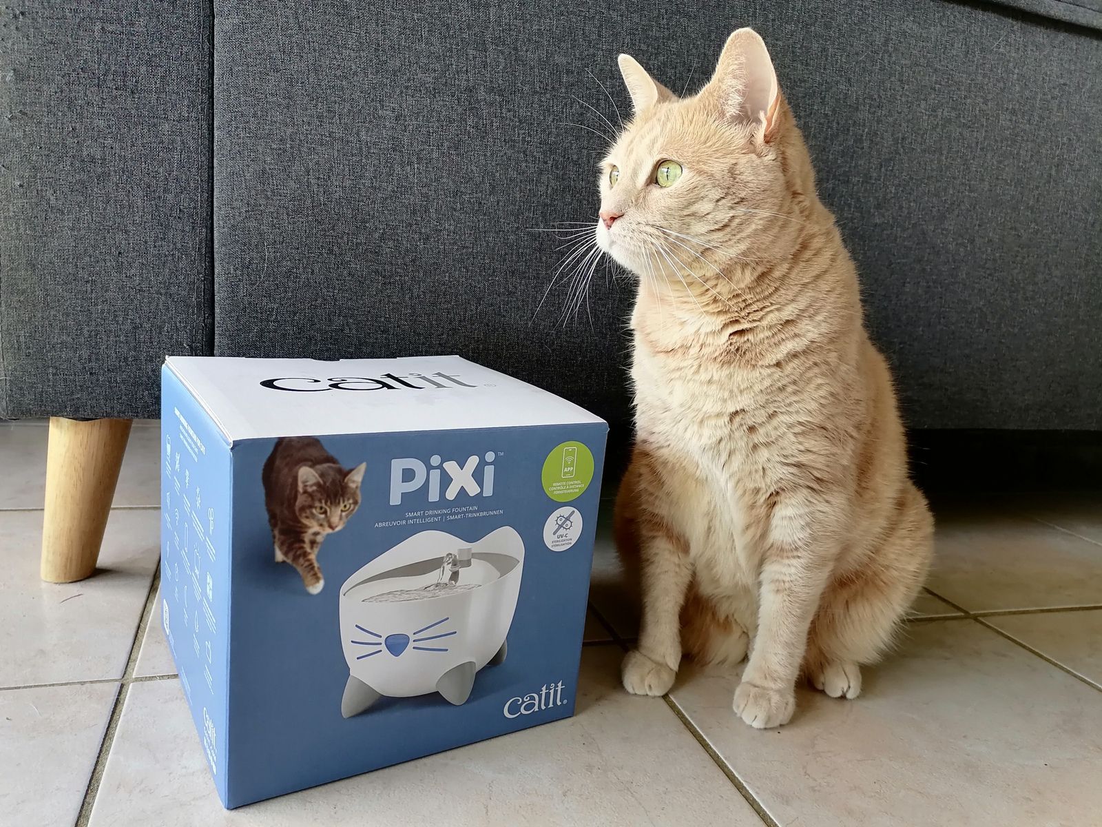 La fontaine à eau connectée pour chat Pixi Catit - Une Belle Vie De Chat :  un blog sur le chat !