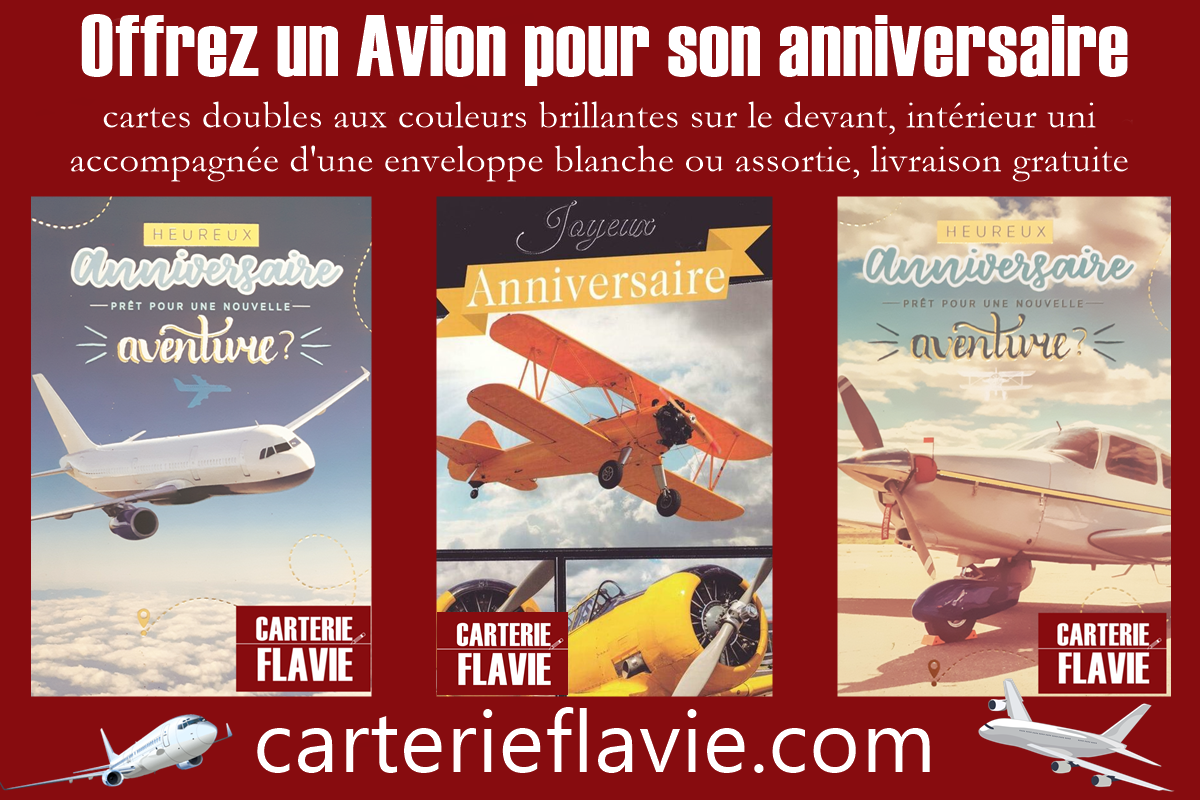Offrez un avion pour son anniversaire :) - Le Blog de Flavie