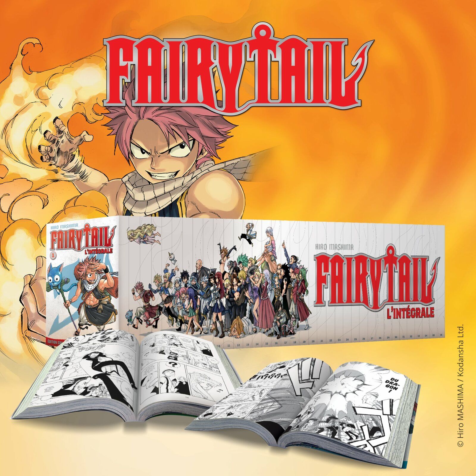 Collection Fairy Tail Marchand De Journaux Hachette Collections lance chez les marchands de journaux et par abonnement  sur Internet une intégrale collector de FAIRY TAIL - MANGA et ANIME vus par  des passionnés