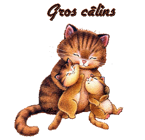 gifs chats - Le Monde des Gifs