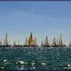 Les voiles de légende