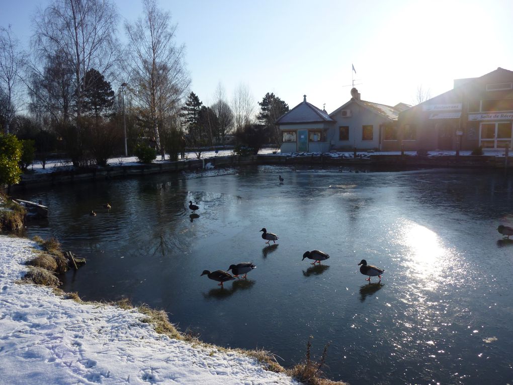 l'hiver sous la neige , les canaux la mer etc..