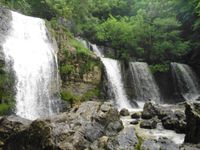 Le petit chien au creux du chemin. Le flot jaillit du trou de la Doria et se répand en cascades.