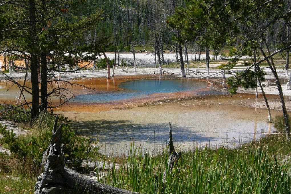 Album - Yellowstone NP, 2004