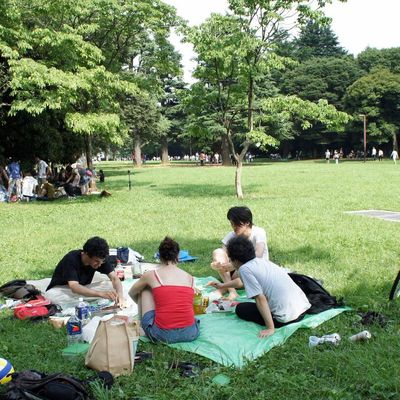 Nos activités de cet été : Picnic à Yoyogi, Rockabilly, Festival, Hanabi