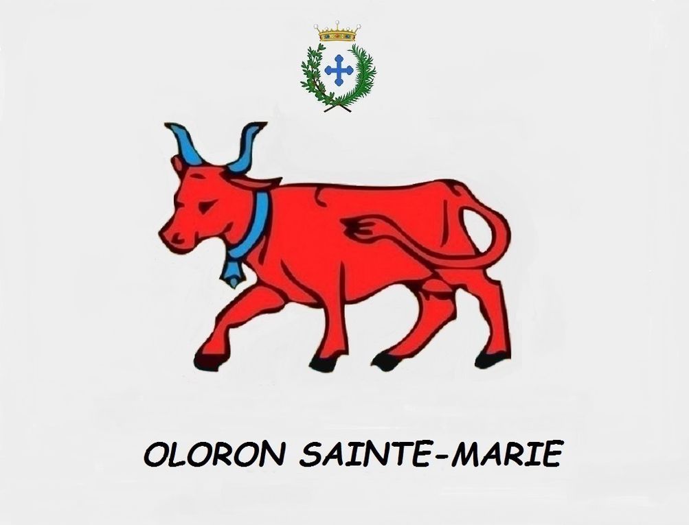 Conseil Municipal d'Oloron Sainte-Marie, 18 décembre 2023