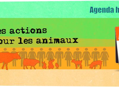 Actions, Manifs à venir + Infos diverses concernant les animaux.