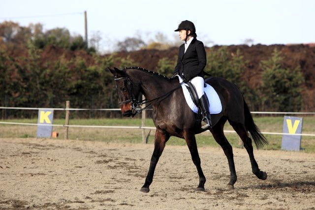 Epreuves de l'après-midi partie 01 concours de dressage au poney club de léguevin le 11 déc 2011