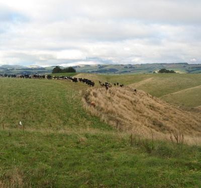 au revoir le southland