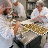 Normandie. À l'approche de Noël, ces éleveurs d'escargots entament "le gros rush de l'année"