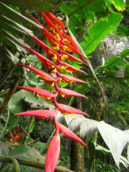 Album - ECUADOR