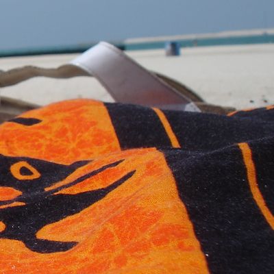 Nuage de cendres. Attente de Luxe A Dubai: merci Oman Air !