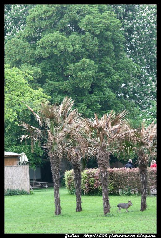 Photos du parc Paradisio de l'année 2009.