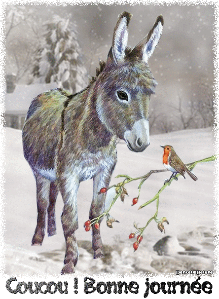 Petit âne - rouge gorge - gif - animé - hiver - bonne journée