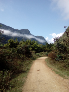 Ban Ha ou un village typique laotien.