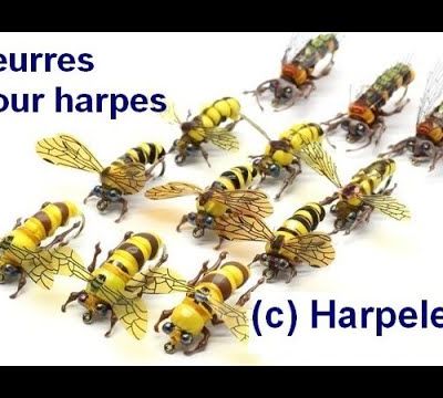 Leurres pour harpes anti frelons asiatiques