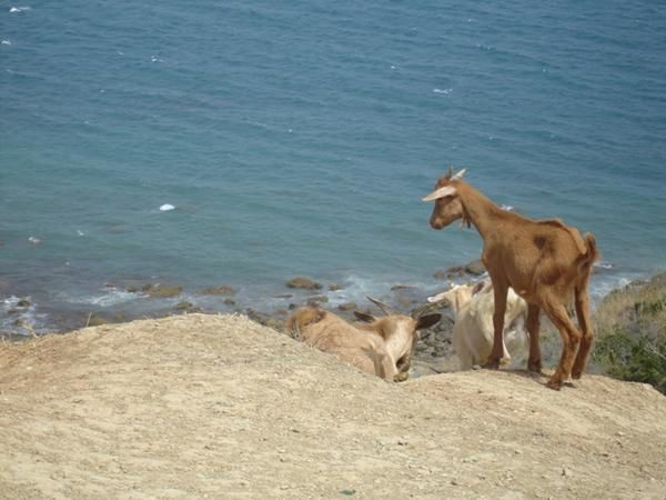 Album - BORD DE MER