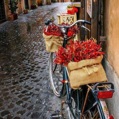 Ruelle - Bicyclette - Piments - Rouge - Picture - Free