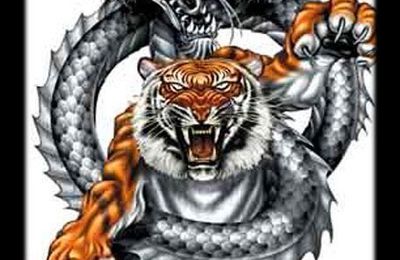 Femme dragon homme tigre