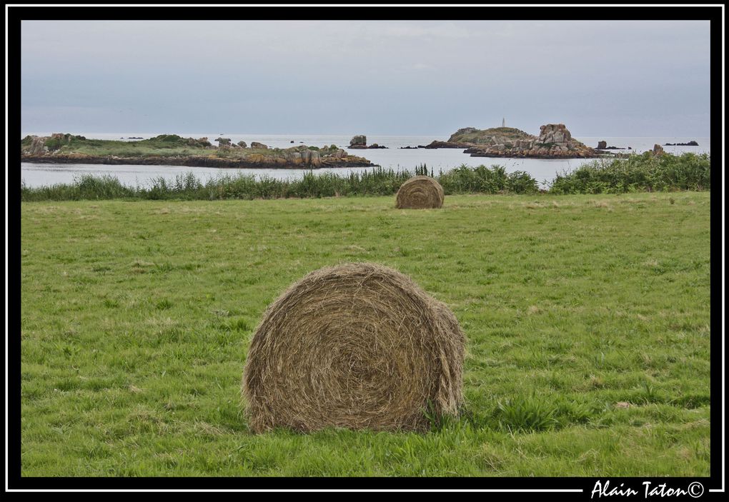 Album - île-de-Bréhat