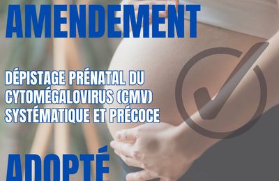  Vers un dépistage systématique du cytomégalovirus chez les femmes enceintes en France ?