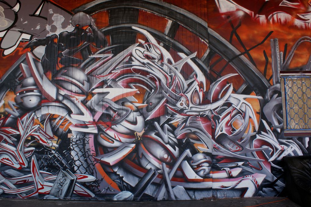 Album - Graffitis-Toulouse-tom-002