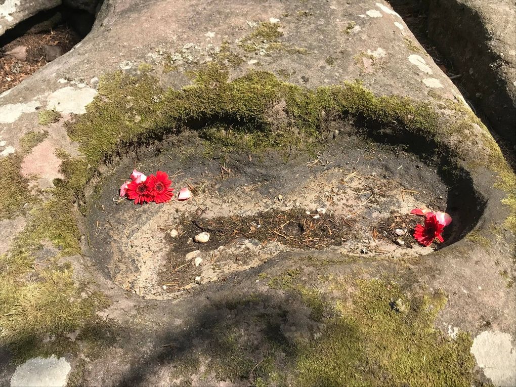 Roches à cupules de la Hexenplatz