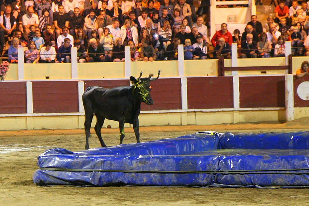 Arènes Parentis 13-08-2010
Croque-vache contre les Pompiers!!