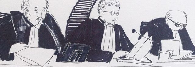 Affaire Vincent Lambert: l'épilogue judiciaire avec l'arrêt du 28 juin 2019 ?