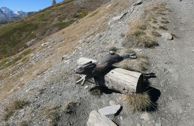 Balade insolite en Vallée d’Aoste (2)