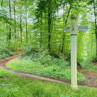 les Monts dans la forêt de Compiègne