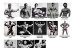 MR. OLYMPIA STORY