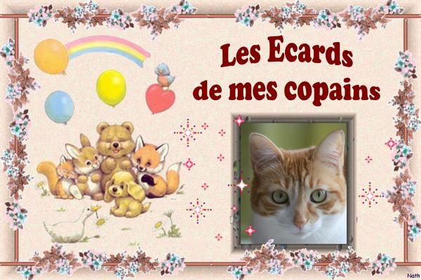 Une petit Ecard pour tous mes copains ;-)  