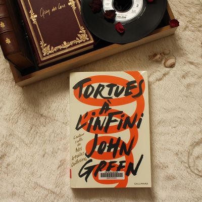 TORTU A L'INFINI - JOHN GREEN