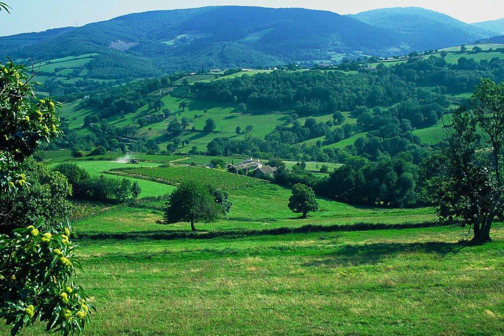 La bourgogne Sud
Notre belle région