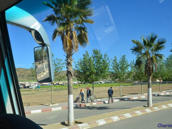 Sur la route de Meknès, Azrou, Ifrane (Maroc en camping-car)