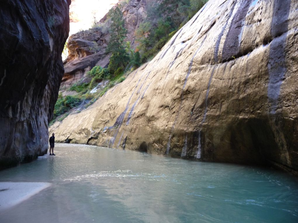 Album - 22.Zion N.P. (Utah-oct.)