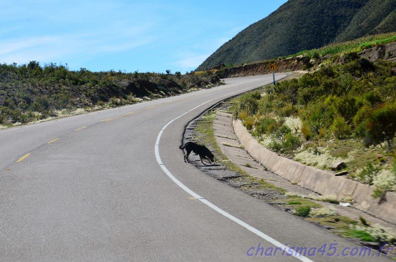 Ruta 5 Tarabuco-Sucre (Bolivie en camping-car)