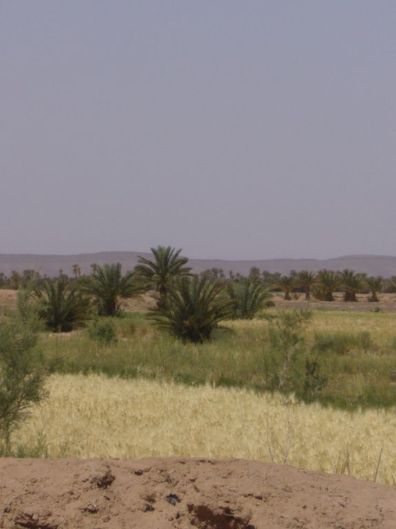 Trekking dans la vallée du Drâa au sud du Maroc. 