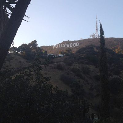 Et pour finir en beauté cette journée nous sommes allés voir les étoiles sur Hollywood boulevard et prendre une photo du fameux HOLLYWOOD. Un peu loin car l'accès en voiture est interdit il faut prendre des shuttles mais nous en avions pleins les pattes donc nous nous sommes contentés de cette vue. 