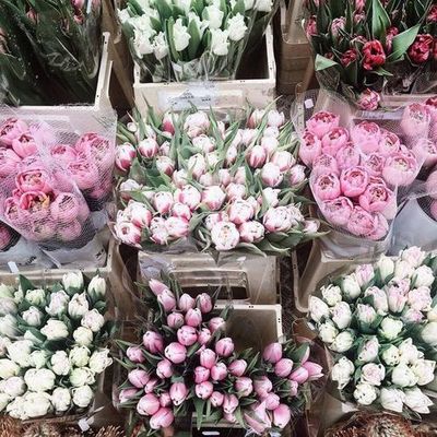 De mes nouvelles #1 : mon inactivité ♡