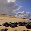 Plages du port Cap Breton, étang de Soustons (Landes) 19.03.2012