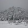 Neige en Provence ...